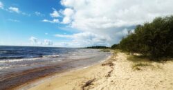Virmalise, Alajõe küla, Alutaguse vald