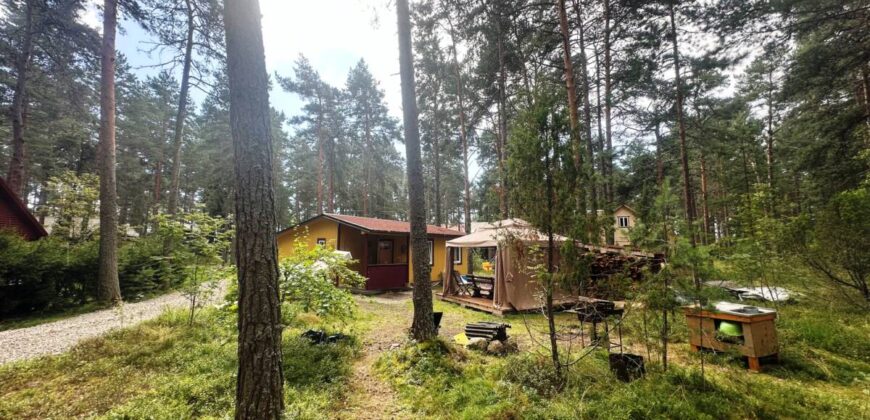 Virmalise, Alajõe küla, Alutaguse vald