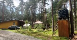 Virmalise, Alajõe küla, Alutaguse vald