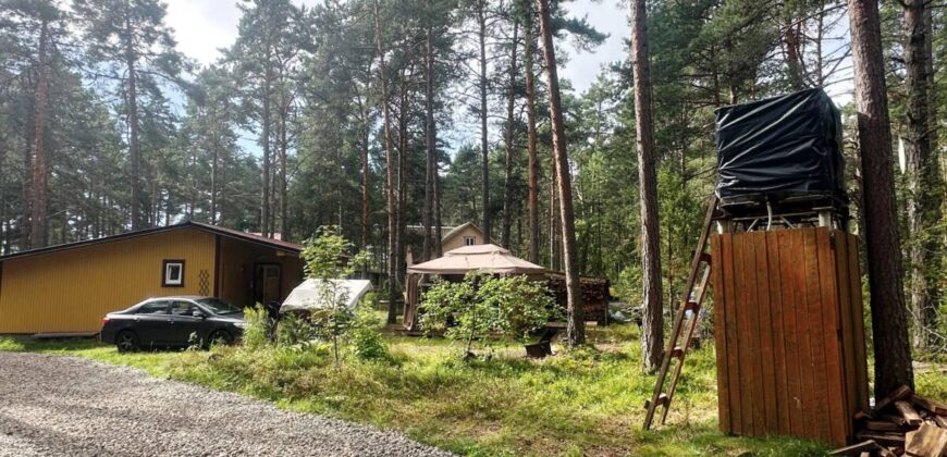 Virmalise, Alajõe küla, Alutaguse vald