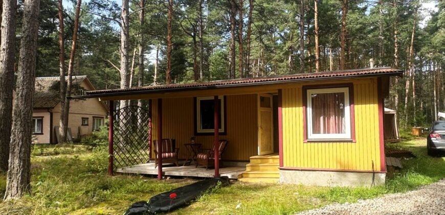 Virmalise, Alajõe küla, Alutaguse vald