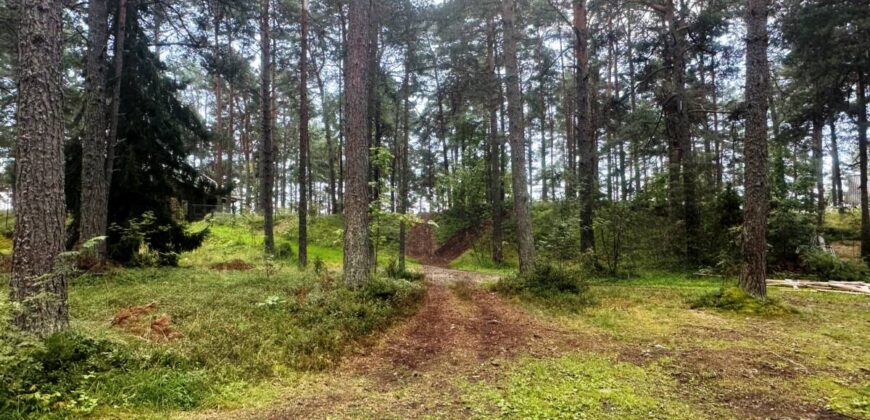 Virmalise, Alajõe küla, Alutaguse vald