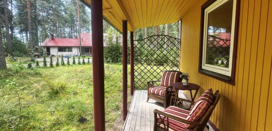 Virmalise, Alajõe küla, Alutaguse vald