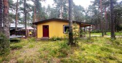 Virmalise, Alajõe küla, Alutaguse vald
