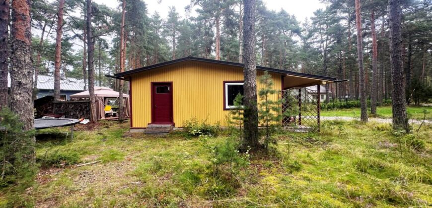 Virmalise, Alajõe küla, Alutaguse vald