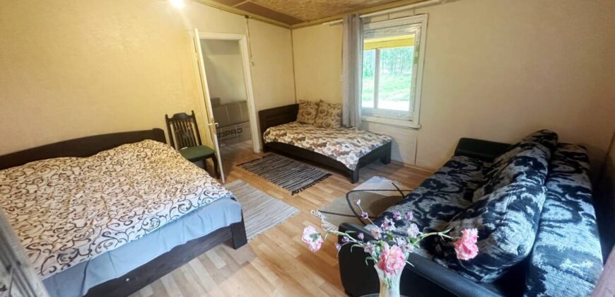 Virmalise, Alajõe küla, Alutaguse vald