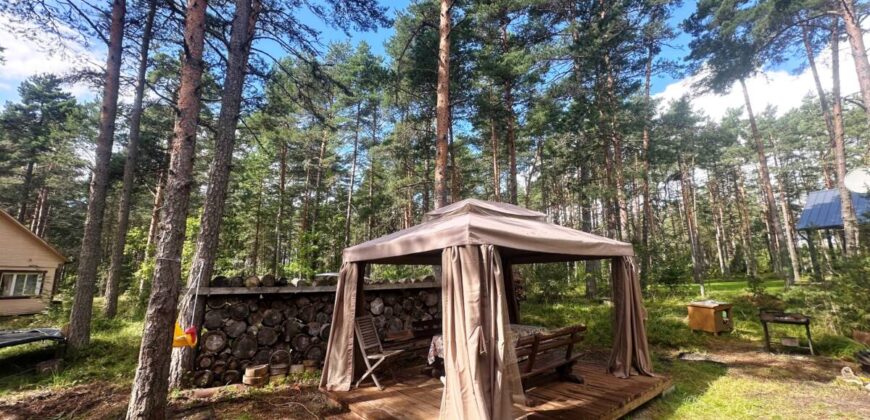 Virmalise, Alajõe küla, Alutaguse vald