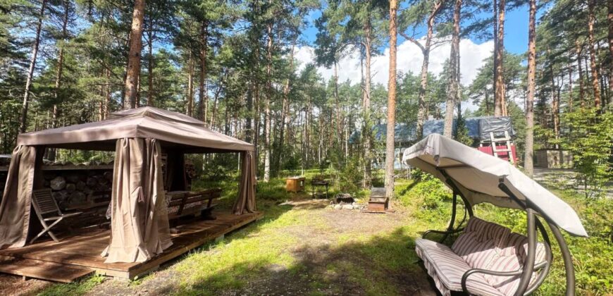 Virmalise, Alajõe küla, Alutaguse vald