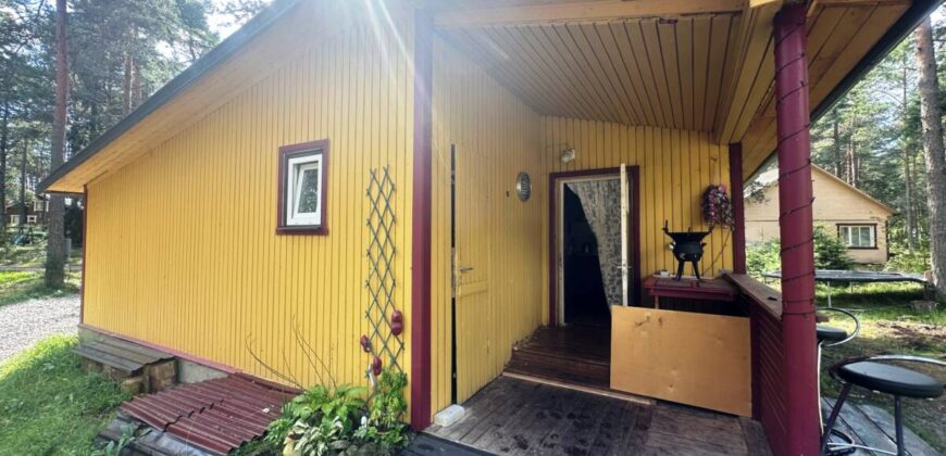 Virmalise, Alajõe küla, Alutaguse vald