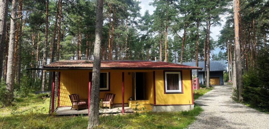 Virmalise, Alajõe küla, Alutaguse vald