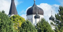 Muuli tee 2, Vasknarva küla, Alutaguse vald