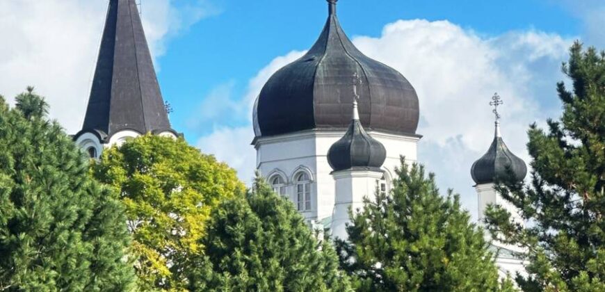 Muuli tee 2, Vasknarva küla, Alutaguse vald