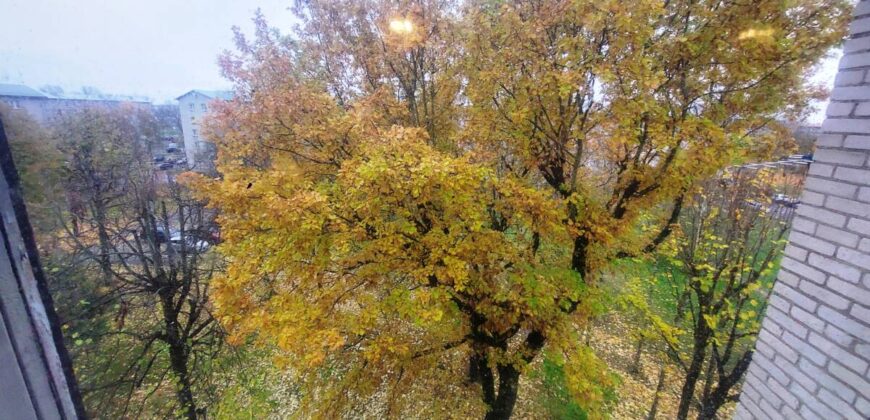 Võidu prospekt 6a, Narva linn