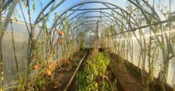 Sputniku AÜ 714, Sillamäe linn