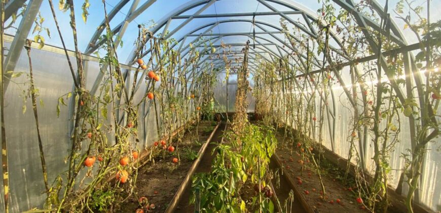 Sputniku AÜ 714, Sillamäe linn