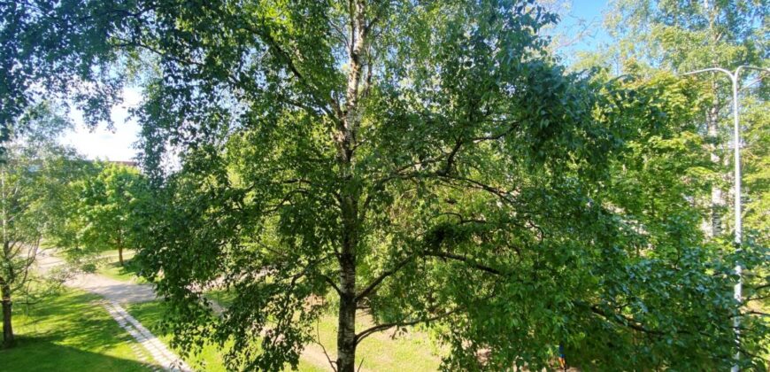 Viru pst 18, Sillamäe linn