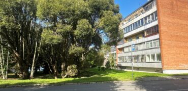 Kajaka tn 8, Sillamäe linn