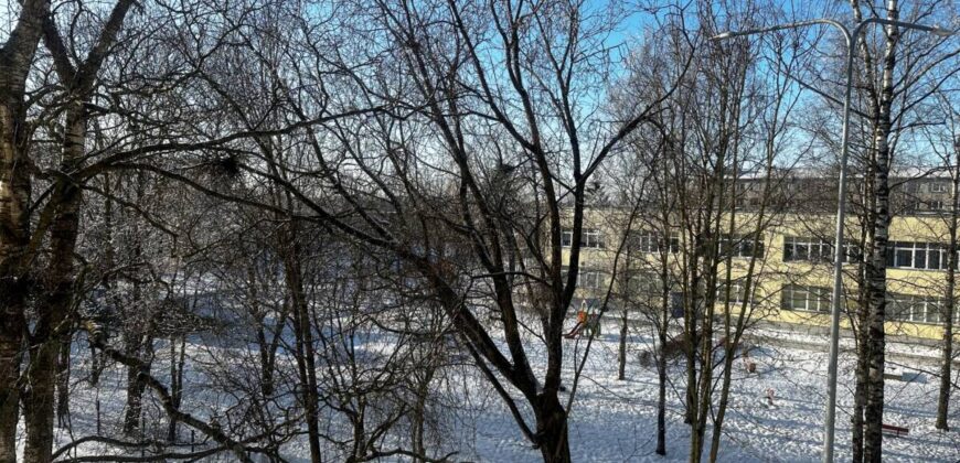 Viru pst 18, Sillamäe linn