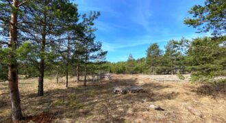 Marja tee 5, Kuru küla, Alutaguse vald