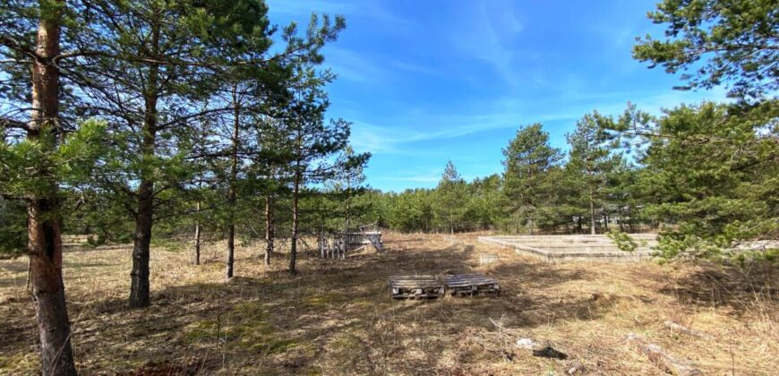 Marja tee 5, Kuru küla, Alutaguse vald