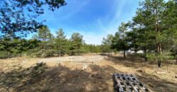 Marja tee 5, Kuru küla, Alutaguse vald