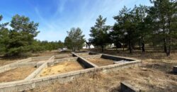 Marja tee 5, Kuru küla, Alutaguse vald