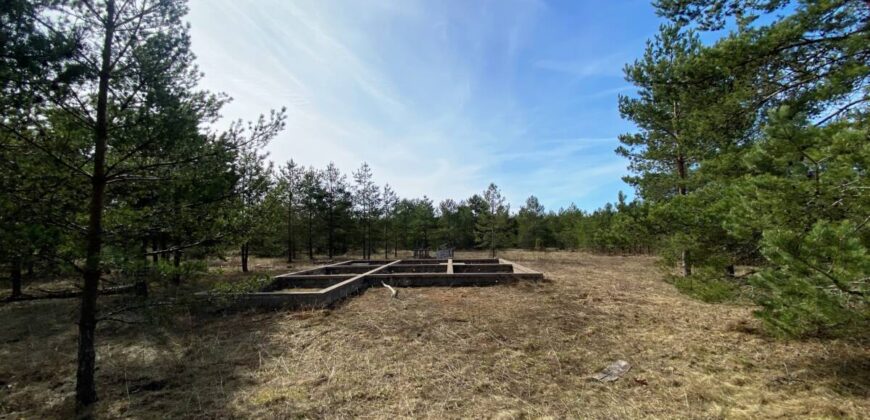 Marja tee 5, Kuru küla, Alutaguse vald