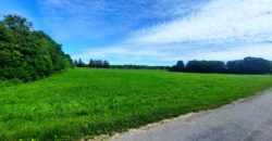 Narva-Jõesuu linn, Sinimäe alevik, Karjapõllu