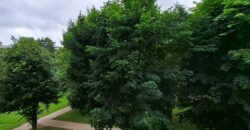 Võidu prospekt 1, Narva linn